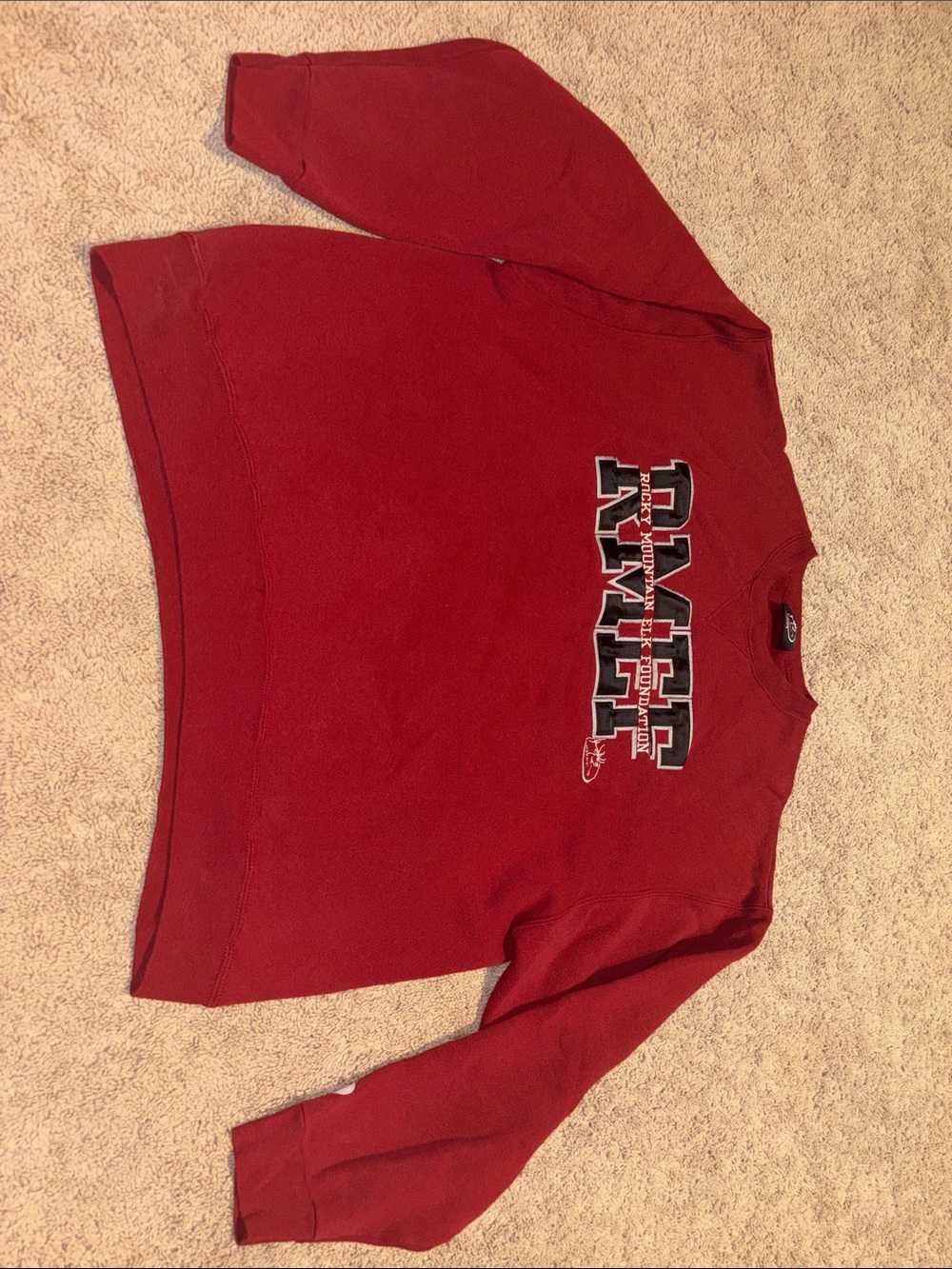Champion Red Crewneck Sweatshirt with Graphic Logo